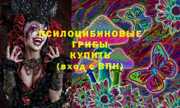 дмт Карпинск