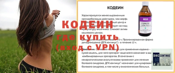 дмт Карпинск