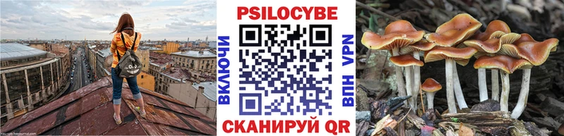 Псилоцибиновые грибы мицелий  Купить где  Избербаш 